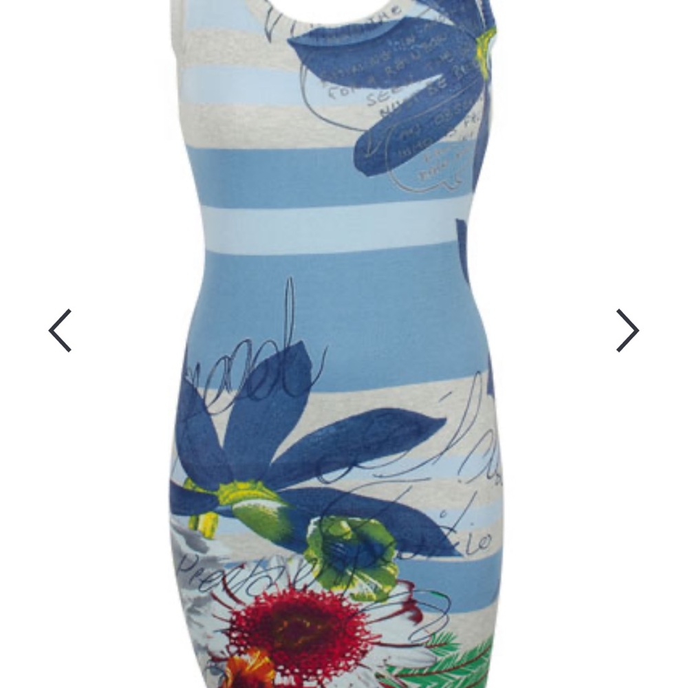 Desigual Blue and White Striped Floral Midi Dress